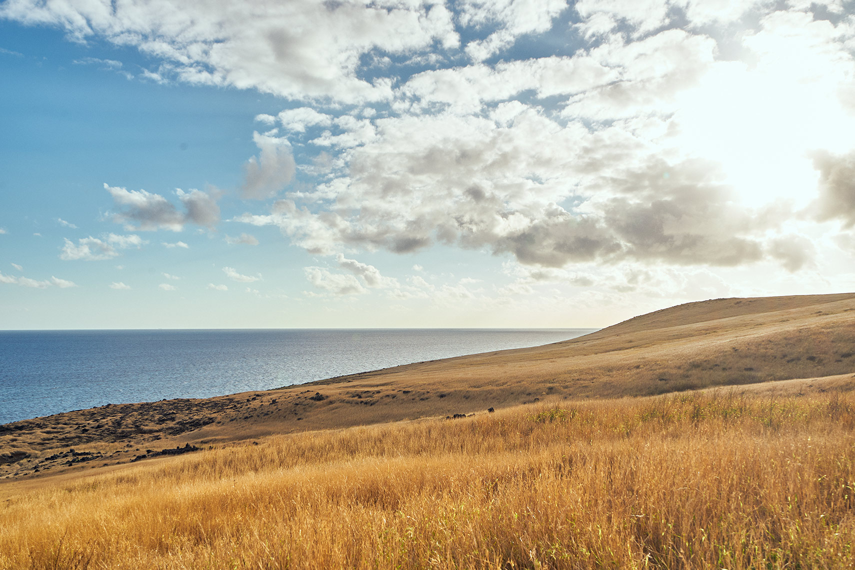 maui_04